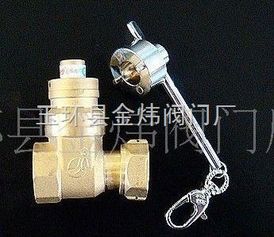 磁性锁闭闸阀 玉环县金炜阀门厂的管件解决方案